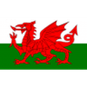 Logótipo do Wales U19