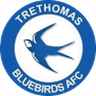 Logótipo do Trethomas Bluebirds