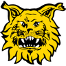 Logótipo do Ilves