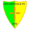 Logótipo do Holmesdale