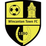 Logótipo do Wincanton Town