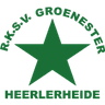 Logótipo do Groene Ster