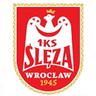 Logótipo do Ślęza Wrocław