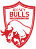 Logótipo do Jersey Bulls