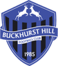 Logótipo do Buckhurst Hill