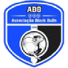 Logótipo do Black Bulls Maputo