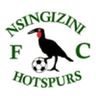 Logótipo do Nsingizini Hotspurs