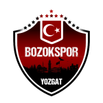 Logótipo do Yozgat Bld Bozokspor