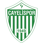 Logótipo do Çayelispor