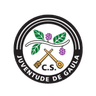 Logótipo do Juventude Gaula