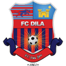 Logótipo do Dila