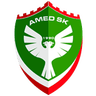 Logótipo do Amed