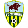 Logótipo do Zimbru