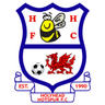 Logótipo do Holyhead Hotspur