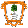 Logótipo do Ashford Town (Middlesex)