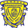 Logótipo do Basingstoke Town