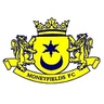 Logótipo do Moneyfields