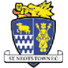 Logótipo do St Neots Town