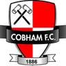 Logótipo do Cobham