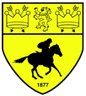 Logótipo do Newmarket Town