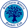 Logótipo do Spelthorne Sports