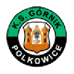 Logótipo do Górnik Polkowice