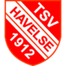 Logótipo do Havelse