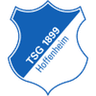 Logótipo do Hoffenheim II